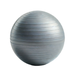 Hemmka Health 65cm Anti-Burst Yoga Ball