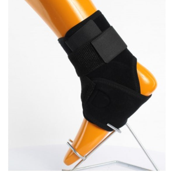 Ankle Brace Support