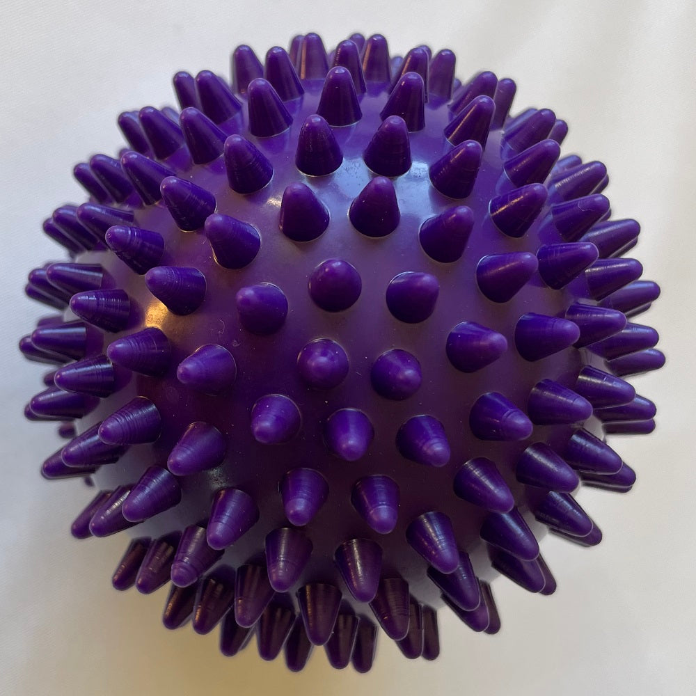 Purple Spiky Massage Ball