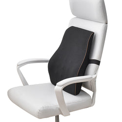 Back Cushion "ERGOBACK"