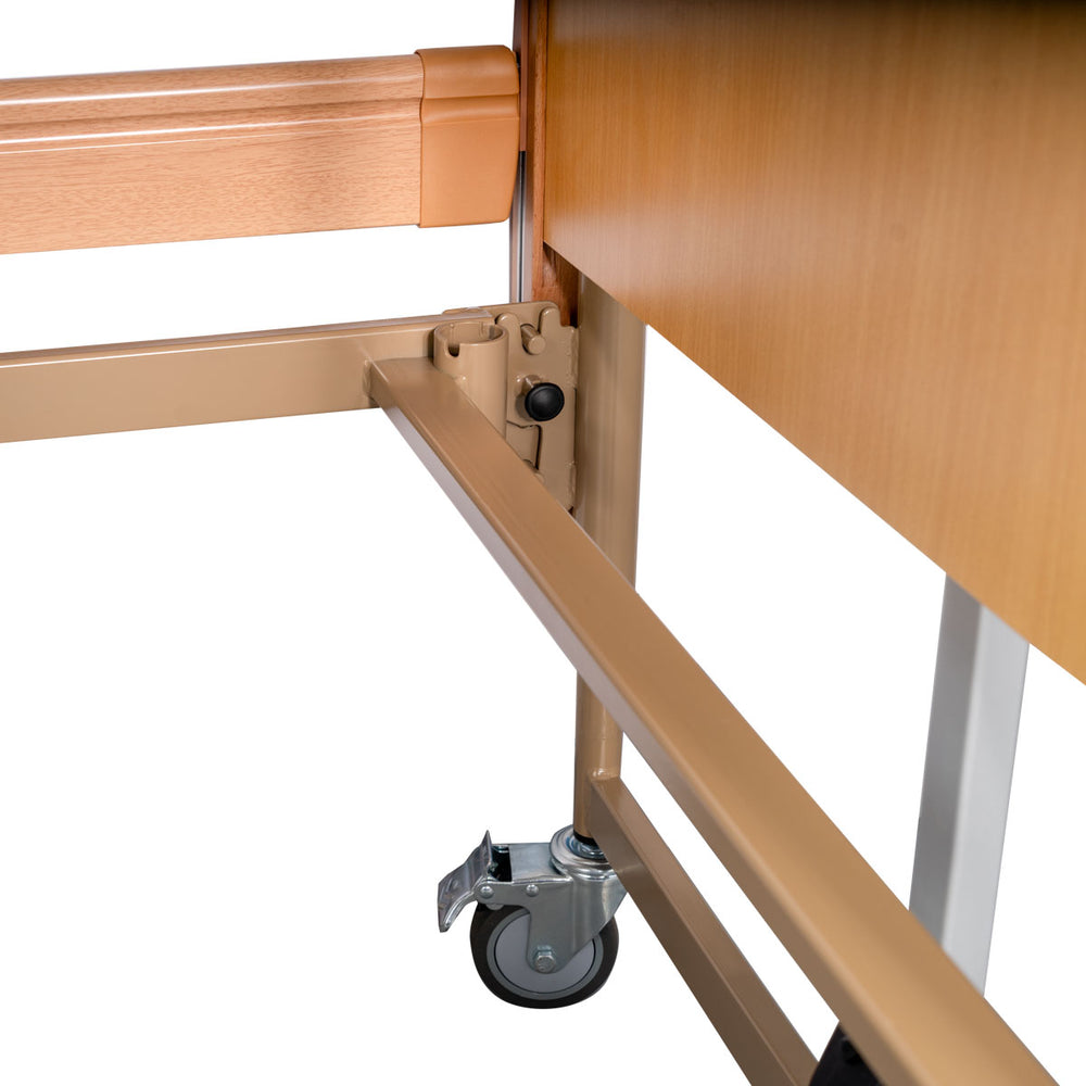 Electric Multi Crank Bed “VIRGO”