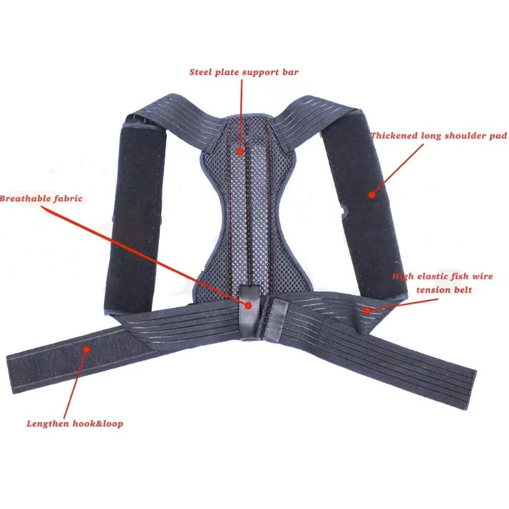 Posture Support with Steel Plates