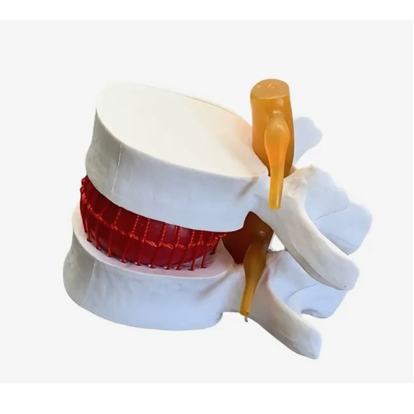 Manual Handling Tools