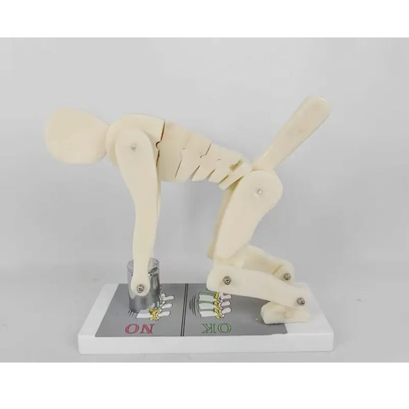Lifting Manikin
