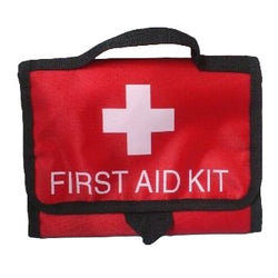 Mini First Aid Kit