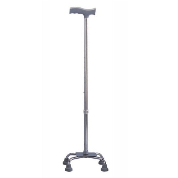Quadripod Cane