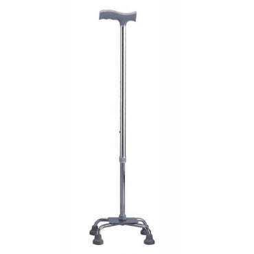 Quadripod Cane