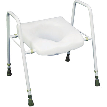 Raised Toilet Seat and Frame