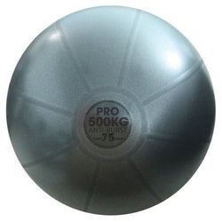 500kg Pro Gym Ball