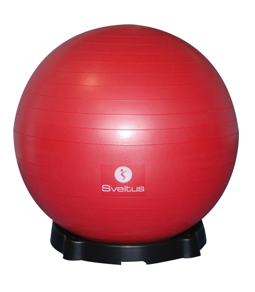 Gym Exercise Ball Base