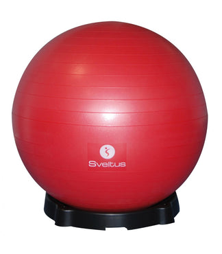 Gym Exercise Ball Base